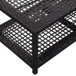 VidaXL Schoenenbank 80x40x30 Cm Poly Rattan Zwart -Neiuwe Order c4f58c7e797142db9d3830e14b0017e5